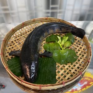 161050378_1862526483904731_4391174317174888109_n