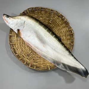 RIverFish_35cc8e1f-8587-42ba-a0bc-4ec09a7f6209