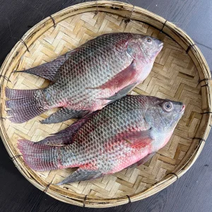 RIverFish_4cdce6ea-d437-4370-bdd3-0e215970a241