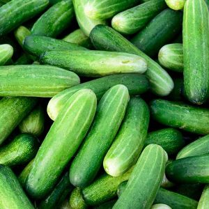 Types-of-Cucumbers-FB
