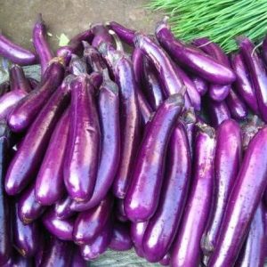 baby-japanese-eggplant-e1588725823420