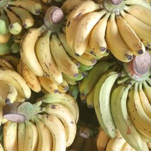 chbi-_susmitaa_ckrbrtii_mishu_6