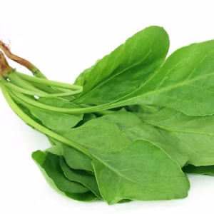 fresh-spinach-white-background_525574-3669