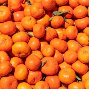 istockphoto-1486272657-612x612