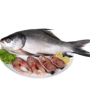 katla-fish-1kg-price-bd-fbbazar