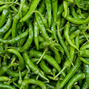 morich-1-20230701154853