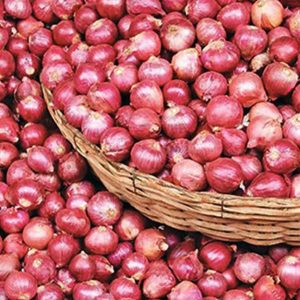 onion peaj peaz_1692883854