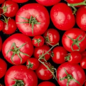 tomato-20230714232425